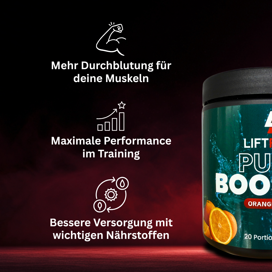 PUMP BOOSTER